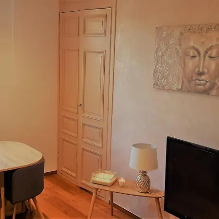 19 Av Gambetta Apartment Millau